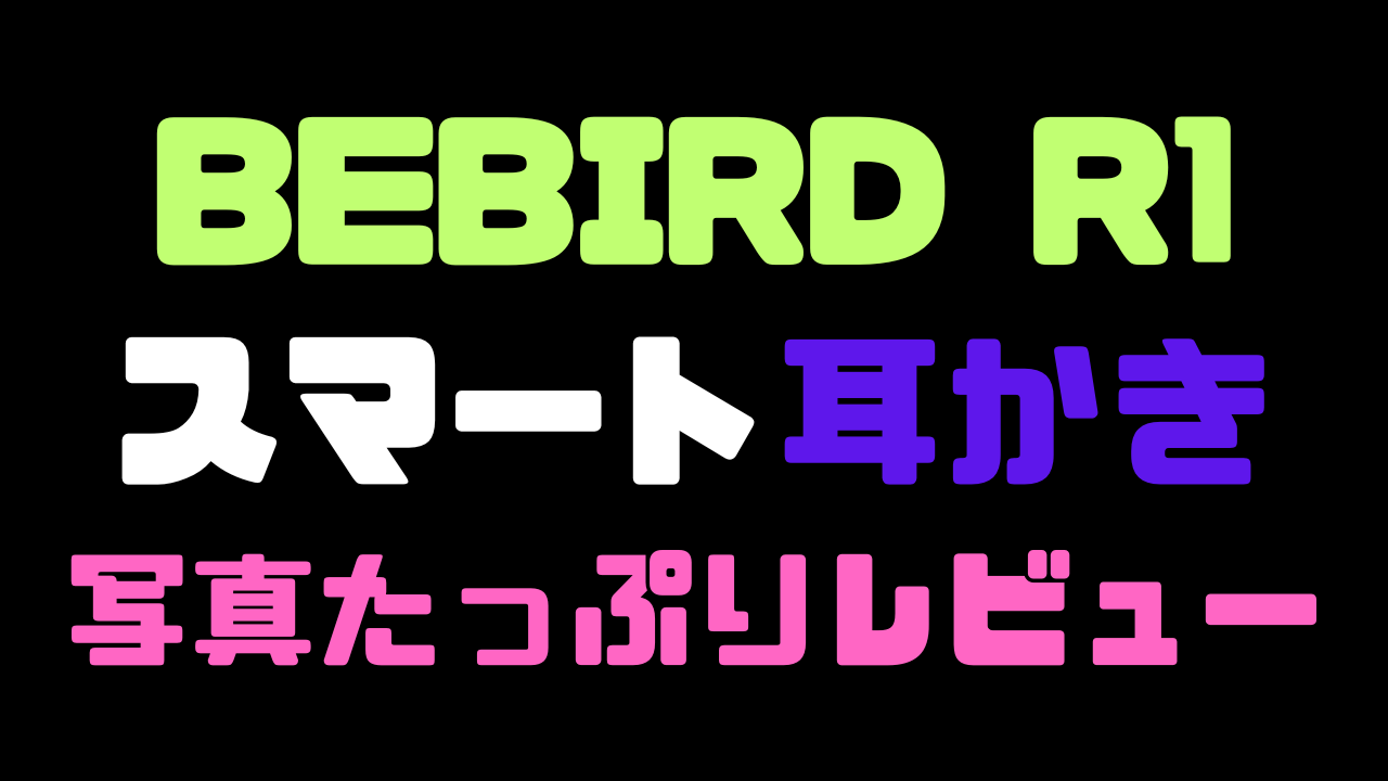 BEBIRD R1の写真たっぷりレビュー記事のアイキャッチ画像